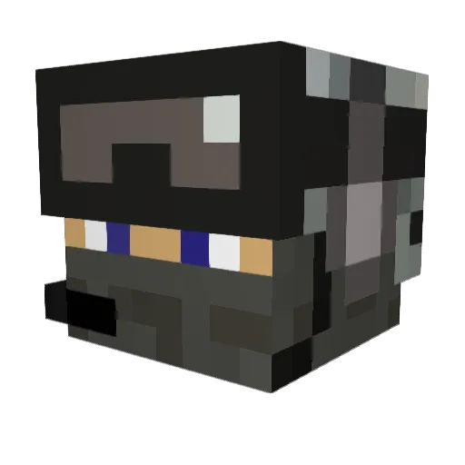 NiciGamer2005 Minecraft avatar head, 3D render