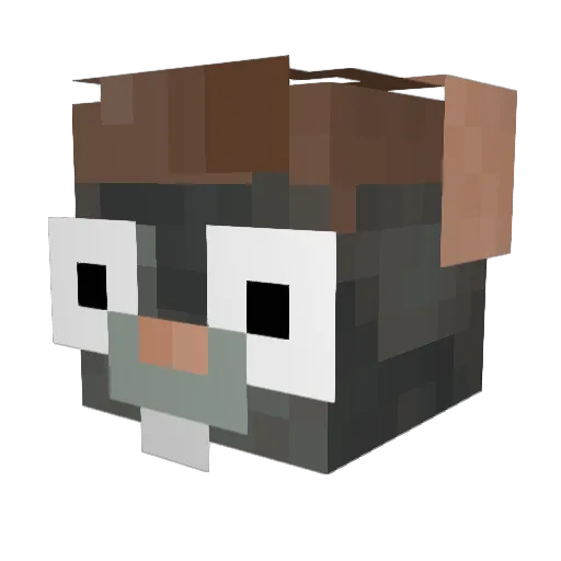 Nici_150606 Minecraft avatar head, 3D render