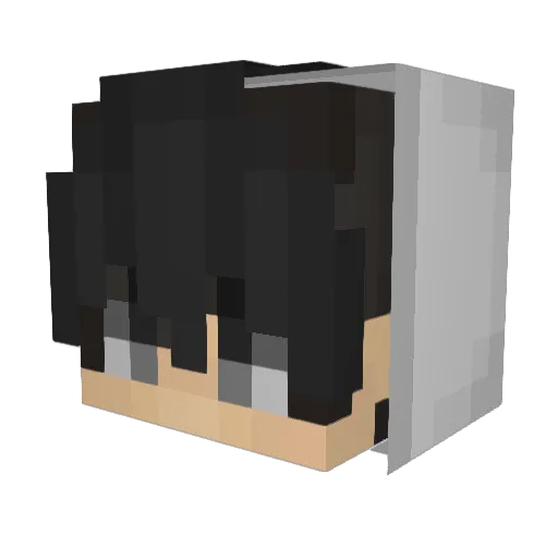 Nicibro Minecraft avatar head, 3D render