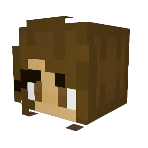 NiciiOll Minecraft avatar head, 3D render