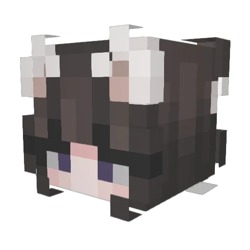 Nicixk Minecraft avatar head, 3D render