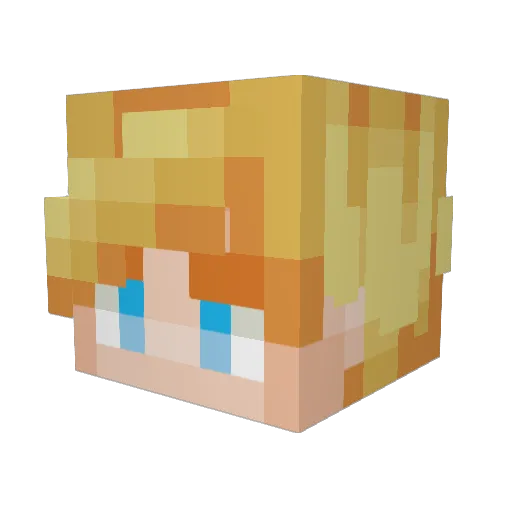 Nick0ss Minecraft avatar head, 3D render
