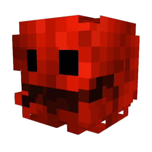 Nick5000_ Minecraft avatar head, 3D render