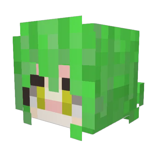 Nick960201 Minecraft avatar head, 3D render