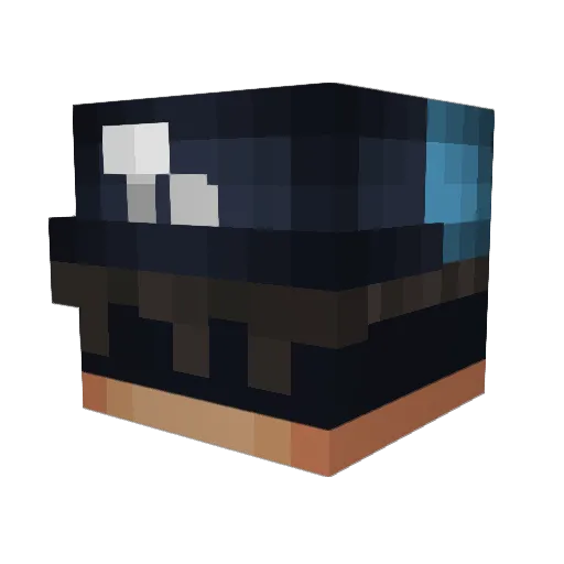 NickBoa Minecraft avatar head, 3D render