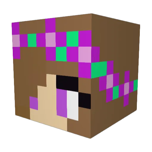 NickD511 Minecraft avatar head, 3D render
