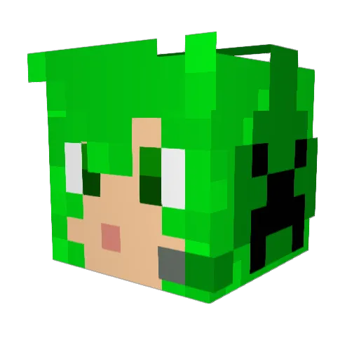 NickDev342 Minecraft avatar head, 3D render