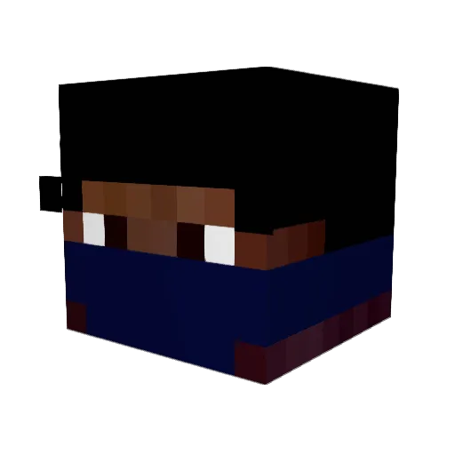 NickEh30King Minecraft avatar head, 3D render