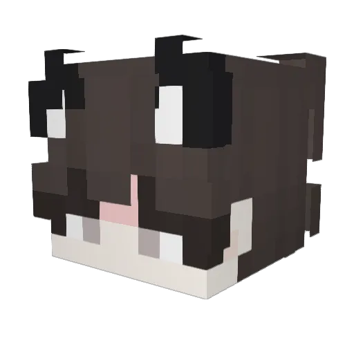 NickIsOnline957 Minecraft avatar head, 3D render