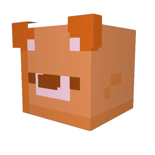 NickJr_ Minecraft avatar head, 3D render