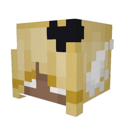 NickLikesBees Minecraft avatar head, 3D render