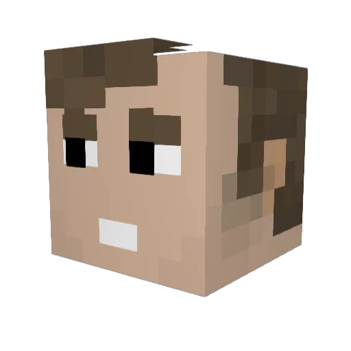 NickMiller56 Minecraft avatar head, 3D render