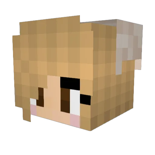NickNackNokia Minecraft avatar head, 3D render