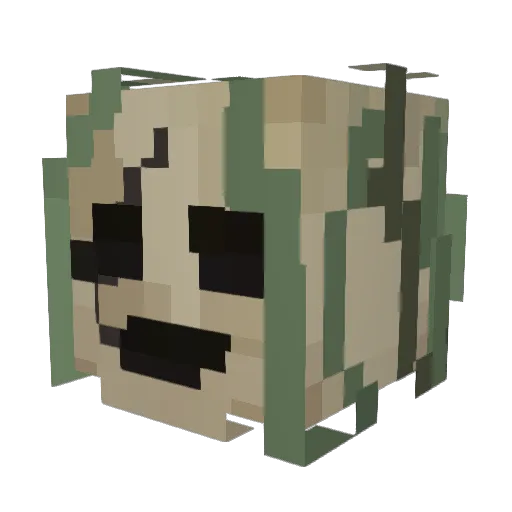 NickPK8 Minecraft avatar head, 3D render