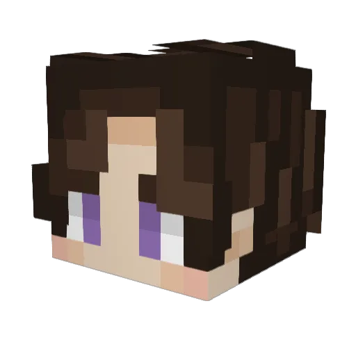 NickSaucy Minecraft avatar head, 3D render