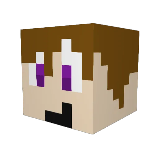 NickZ303 Minecraft avatar head, 3D render