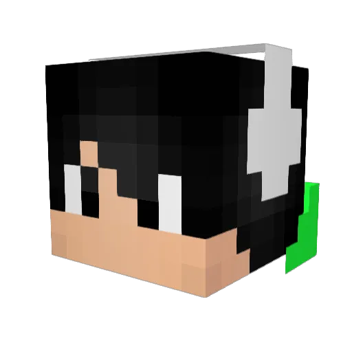 Nick_1404 Minecraft avatar head, 3D render