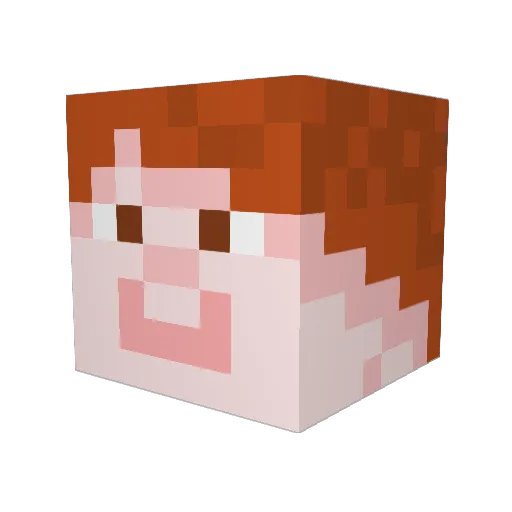Nick_542 Minecraft avatar head, 3D render
