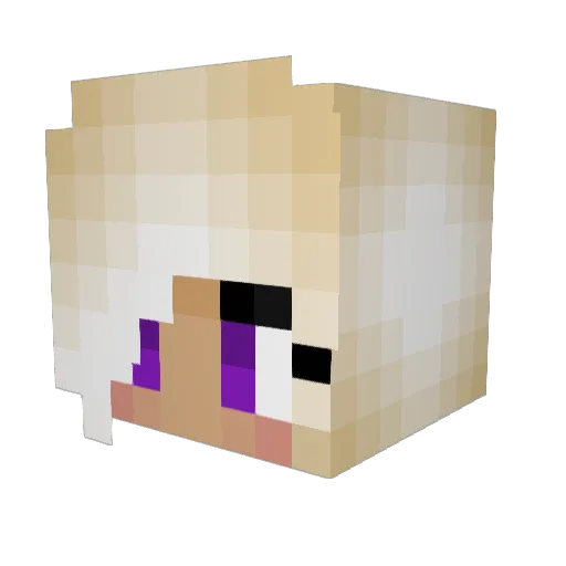 Nick_820 Minecraft avatar head, 3D render