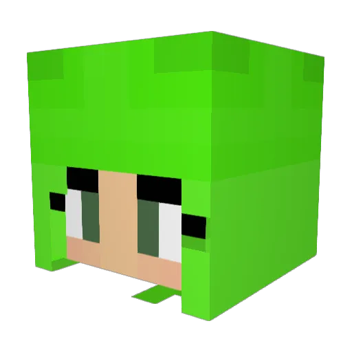 Nick_Nack6 Minecraft avatar head, 3D render