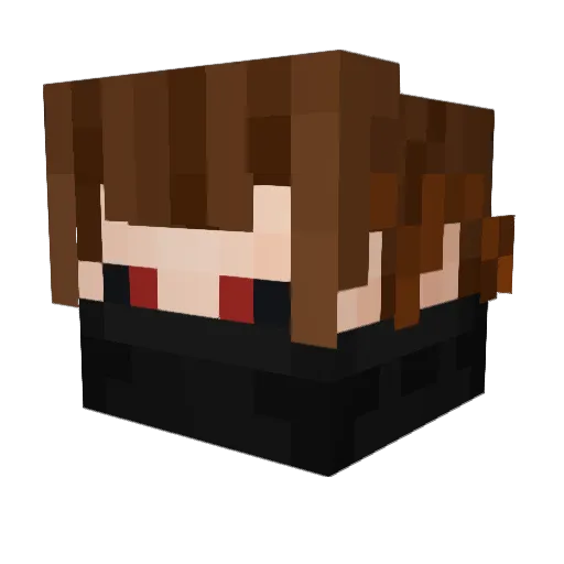 Nick_Name2 Minecraft avatar head, 3D render