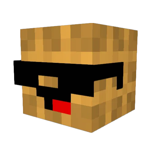 Nickae568 Minecraft avatar head, 3D render