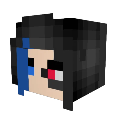Nickayn Minecraft avatar head, 3D render