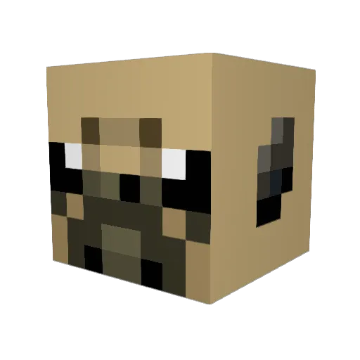 Nickb25 Minecraft avatar head, 3D render