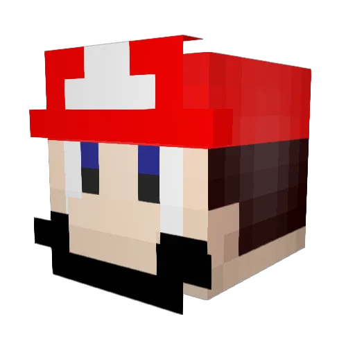 Nickcat10 Minecraft avatar head, 3D render