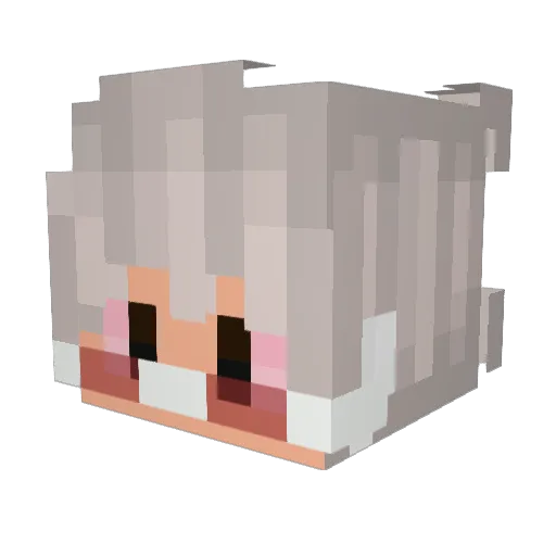 Nickddscarhard_ Minecraft avatar head, 3D render
