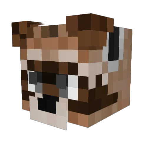 Nickelowdeon Minecraft avatar head, 3D render