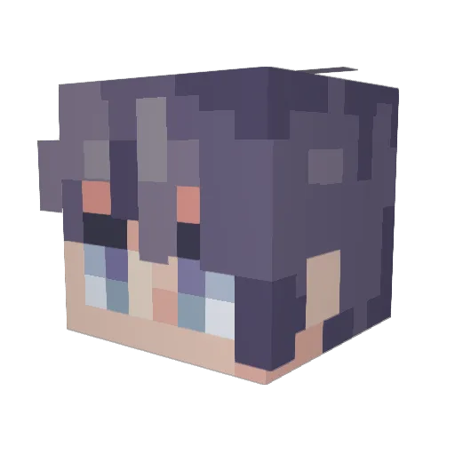 Nickem_ Minecraft avatar head, 3D render
