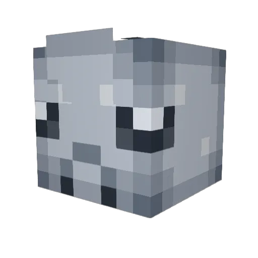 Nickerdoodle885 Minecraft avatar head, 3D render