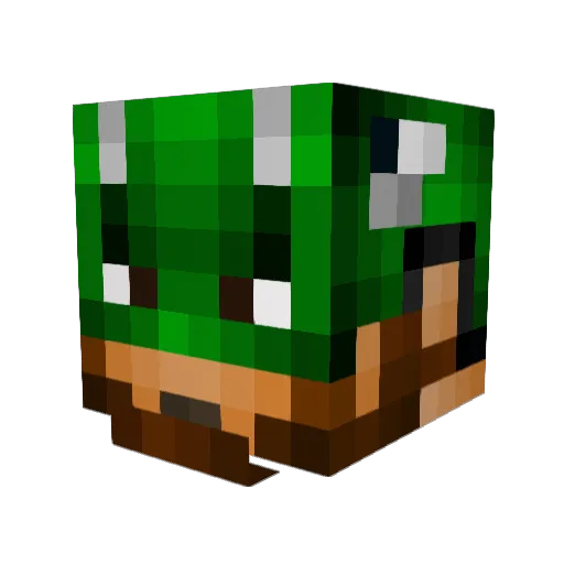 Nickfanfar Minecraft avatar head, 3D render
