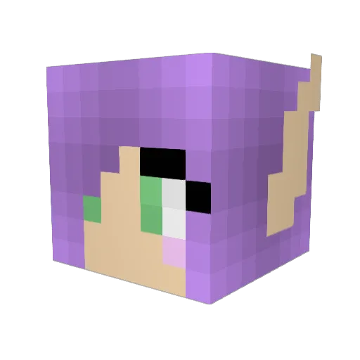 Nicki1333 Minecraft avatar head, 3D render