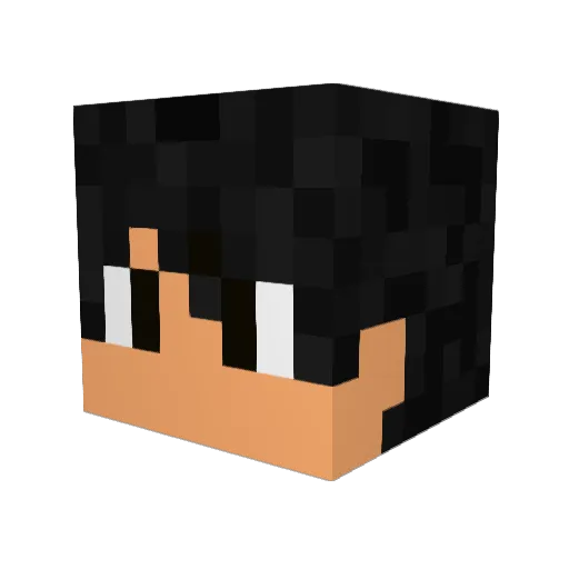 Nicki_minaj123 Minecraft avatar head, 3D render