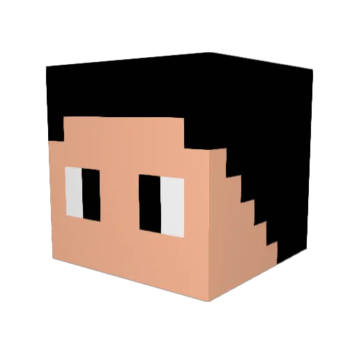 Nickinhoo7 Minecraft avatar head, 3D render
