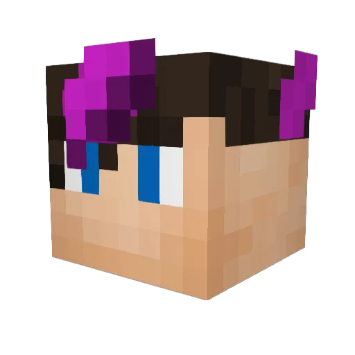 Nickiplier Minecraft avatar head, 3D render