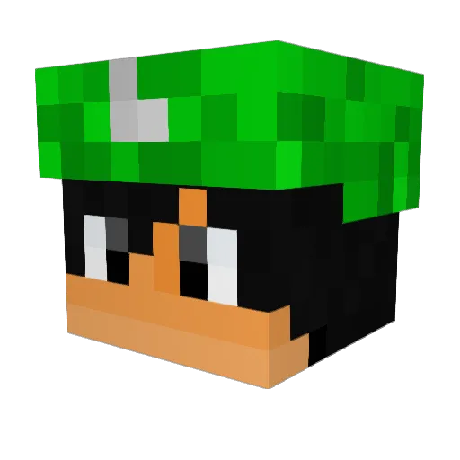 Nicklas14 Minecraft avatar head, 3D render