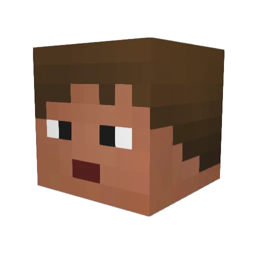Nicklas1704 Minecraft avatar head, 3D render