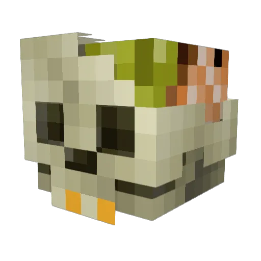Nickloco123 Minecraft avatar head, 3D render