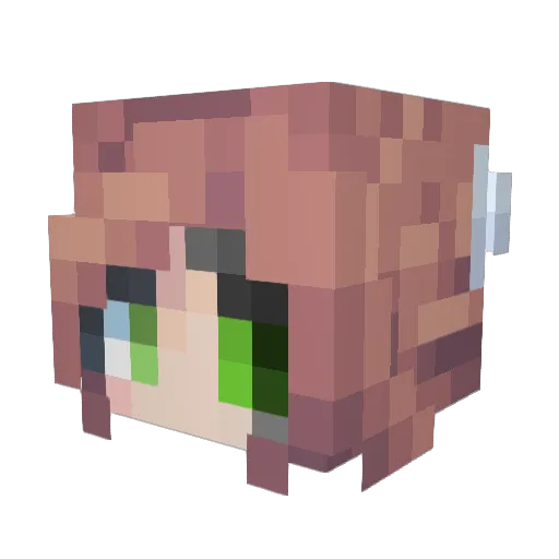NicknameA Minecraft avatar head, 3D render