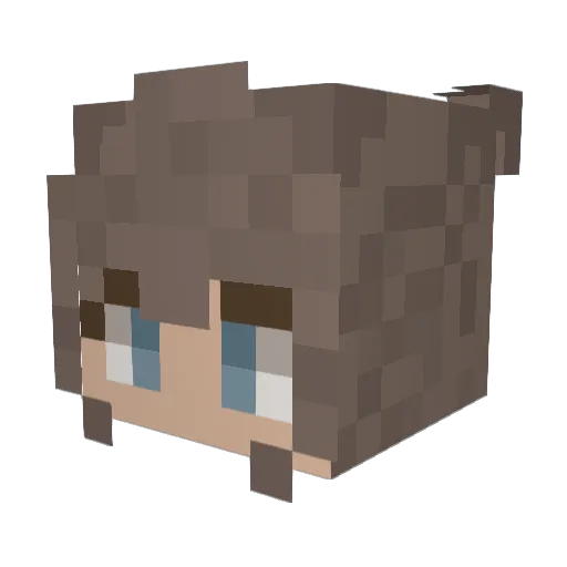 NicknameNickname Minecraft avatar head, 3D render