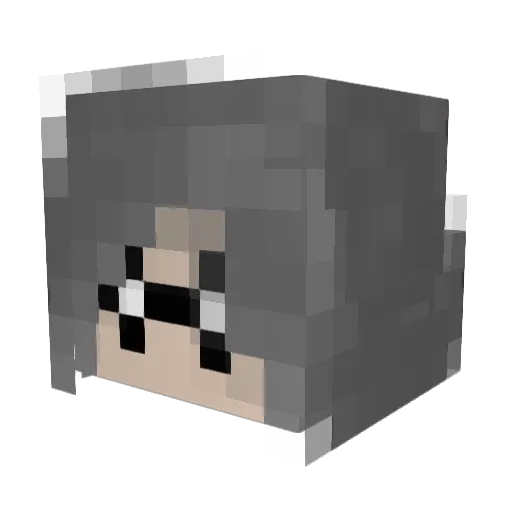 Nickname_Here Minecraft avatar head, 3D render