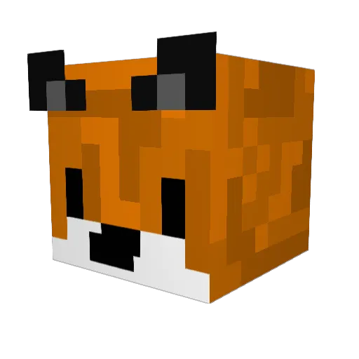 Nicknick258 Minecraft avatar head, 3D render