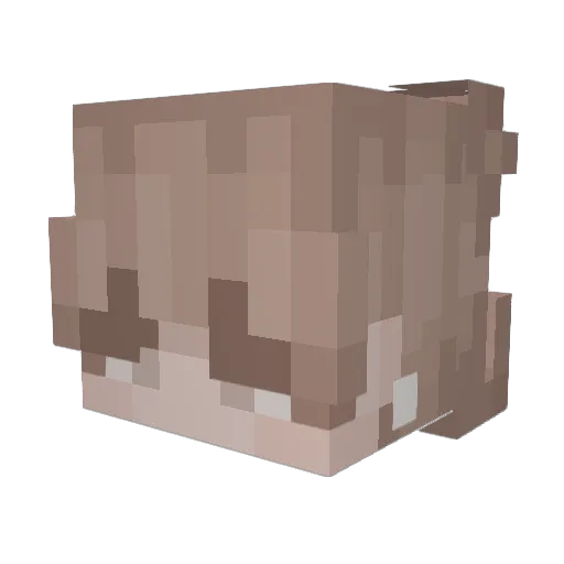 Nickntony Minecraft avatar head, 3D render