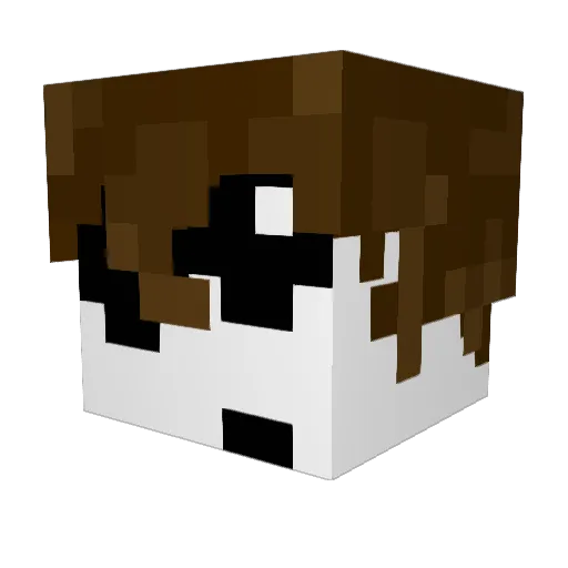 Nicknubbb Minecraft avatar head, 3D render