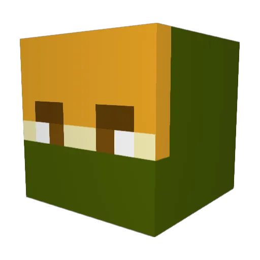 Nickolas20 Minecraft avatar head, 3D render