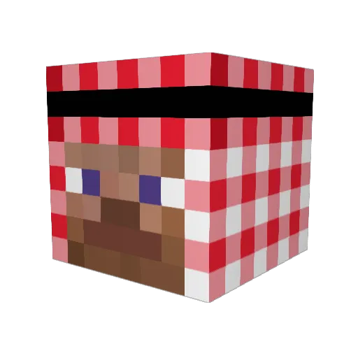 Nickolo212 Minecraft avatar head, 3D render