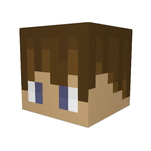 Nickonator13 Minecraft avatar head, 3D render